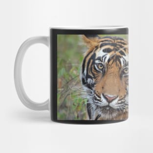 Tiger Portrait Mug